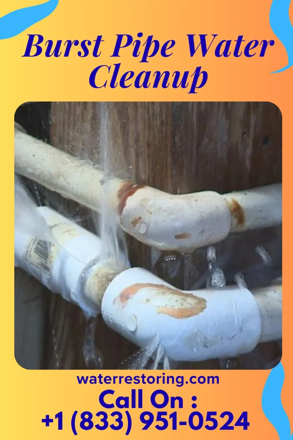 Burst Pipe Water Cleanup in Valencia, PA
