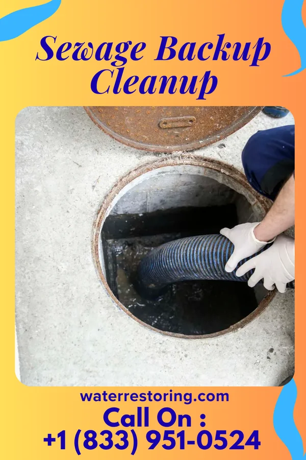 Sewage Backup Cleanup in Valencia, PA