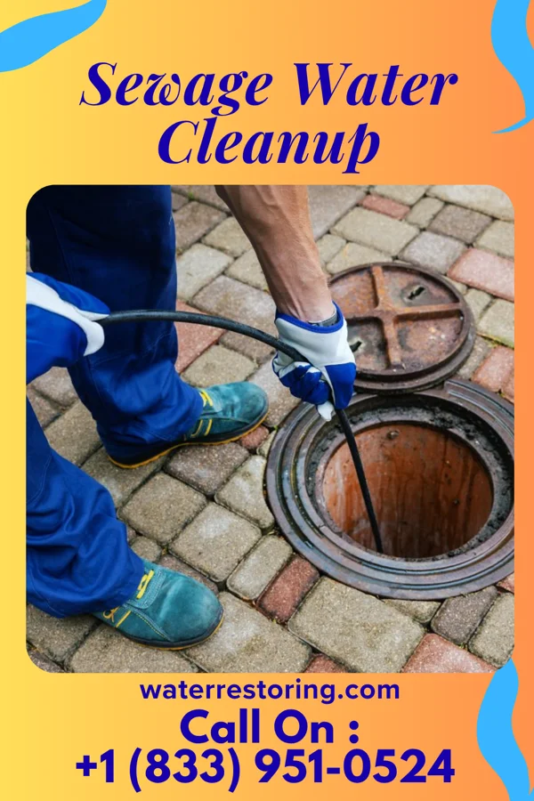 Sewage Water Cleanup in Valencia, PA