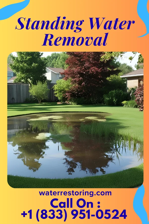 Standing Water Removal in Valencia, PA